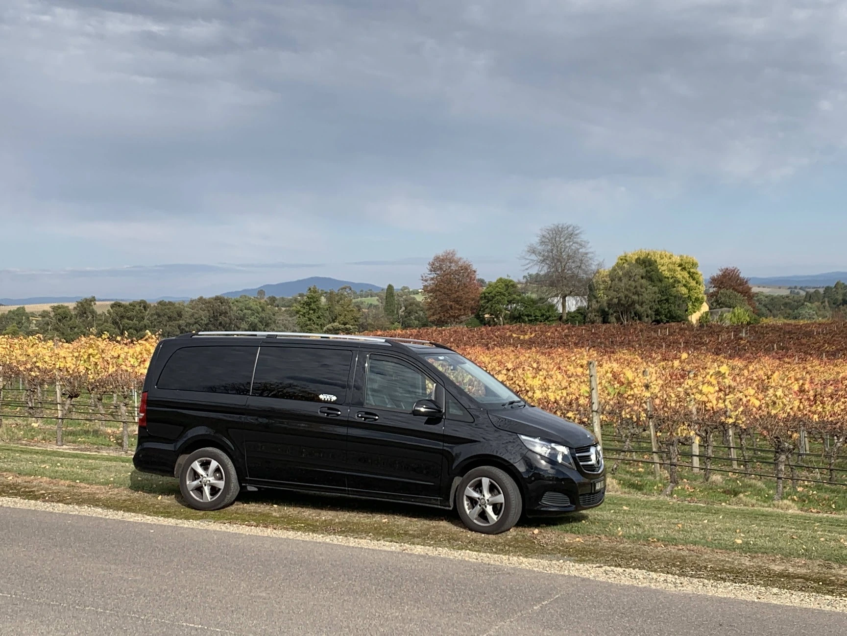Private chauffeur-driven Yarra Valley shore excursion from Melbourne